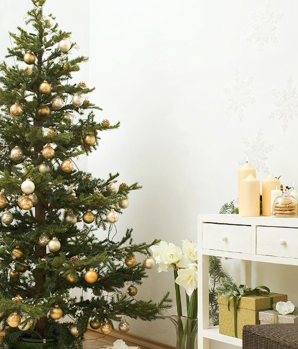 ¿Sabes cuál es el día oficial para poner el árbol de Navidad?