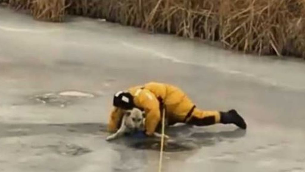 Un bombero arriesga su vida para rescatar a un perro que estaba atrapado en el hielo