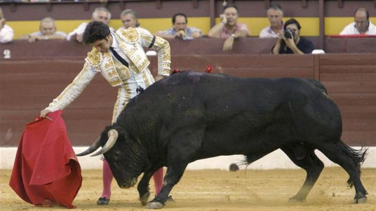 El TC suspende cautelarmente la ley de 'toros a la balear' que prohíbe la muerte del animal