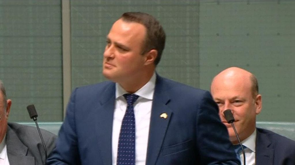 Este diputado australiano pide  matrimonio a su novio en plena sesión parlamentaria