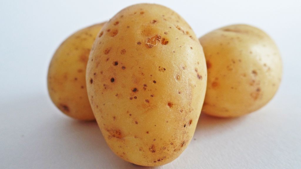 potatoes-448613_1920