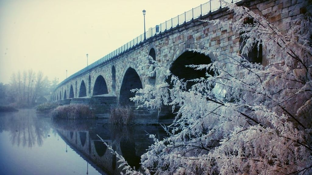 María Lorenzo González en Zamora