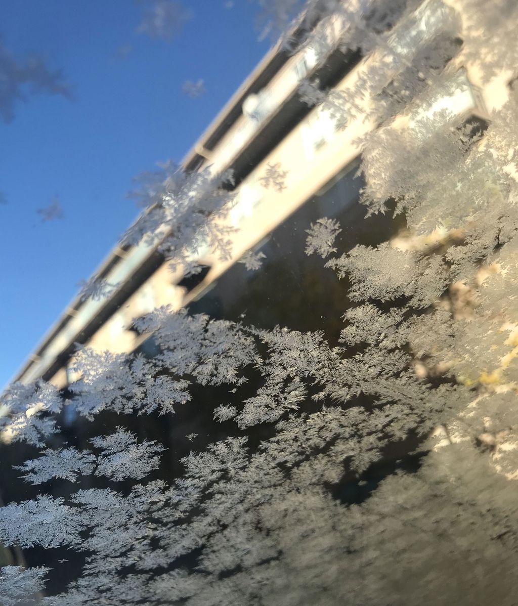 Paula Alejo Pina en Salamanca