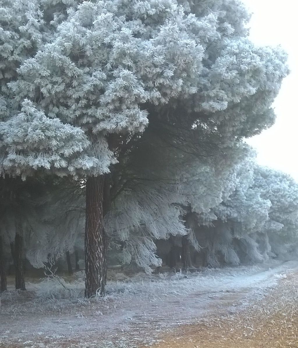 Sara Hernández Martín en Parada de Rubiales, Salamanca