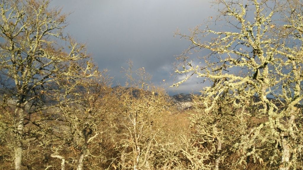 Conchi Camacho en Burela, Lugo