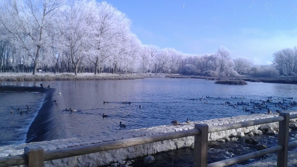 Irene García Abajo en Burgos