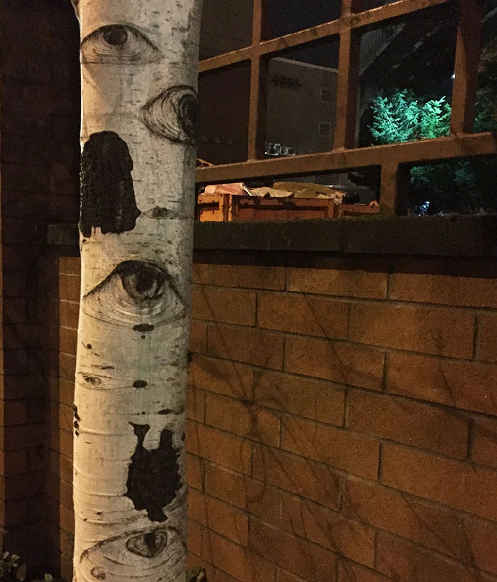 Increíbles ejemplos de pareidolia en árboles