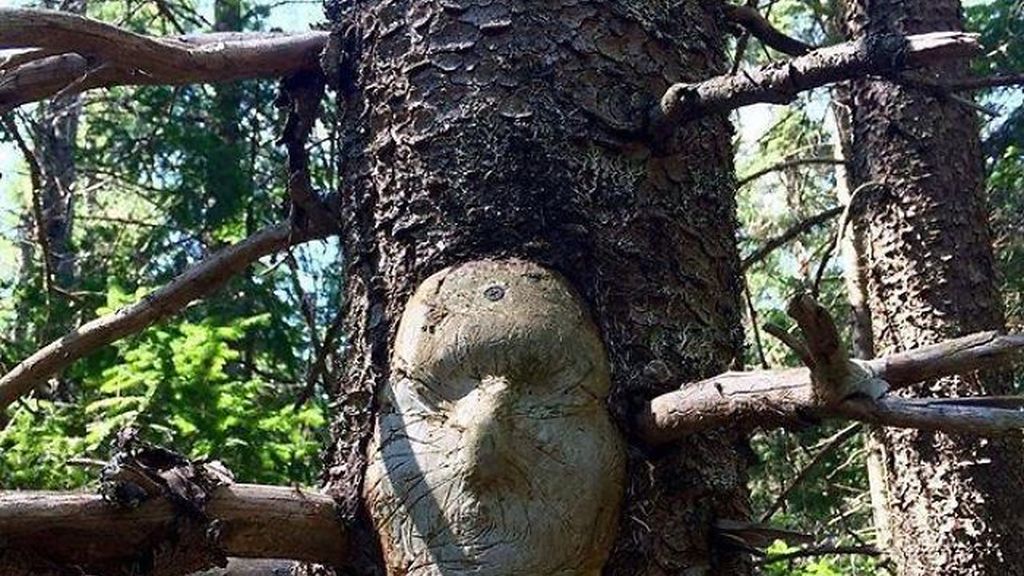 Increíbles ejemplos de pareidolia en árboles