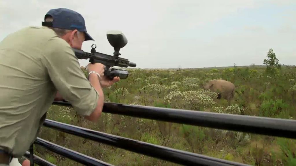 ¡Misión cumplida!: Kike Calleja consigue desparasitar a un rinoceronte
