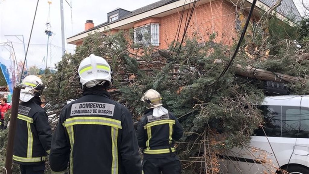 Cae un árbol sobre una furgoneta en Pozuelo (Madrid) por el paso de Ana