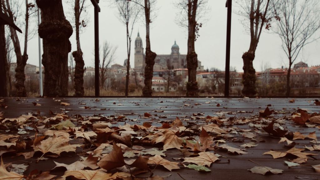 Vega Pérez Gil en Salamanca