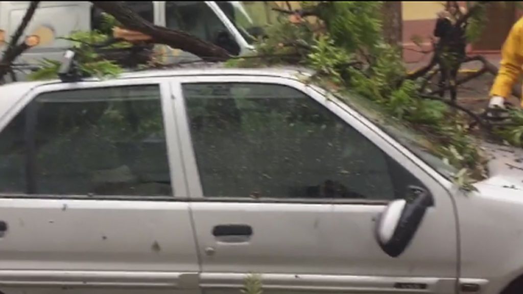 Un árbol cae sobre un coche en San Juan de Aznalfarache, Sevilla