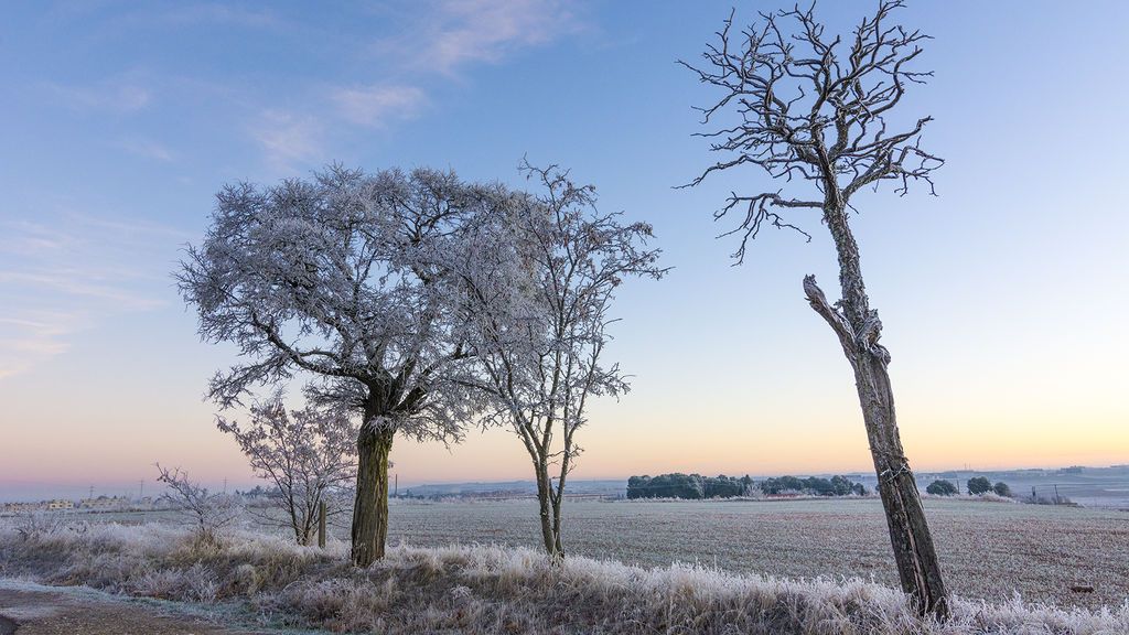 Dolores Giráldez en Salamanca