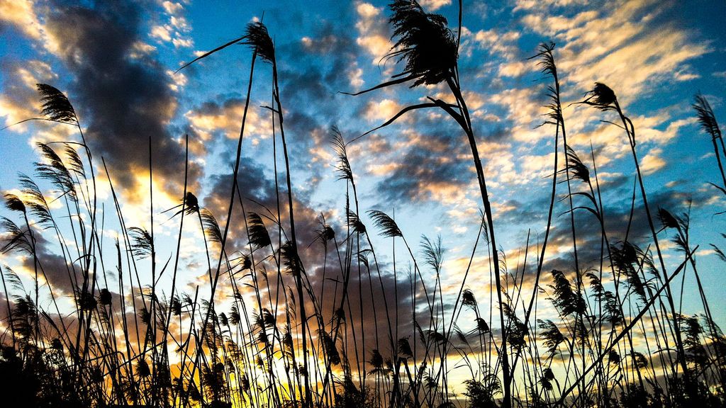 Raimundo Catany en Ibiza