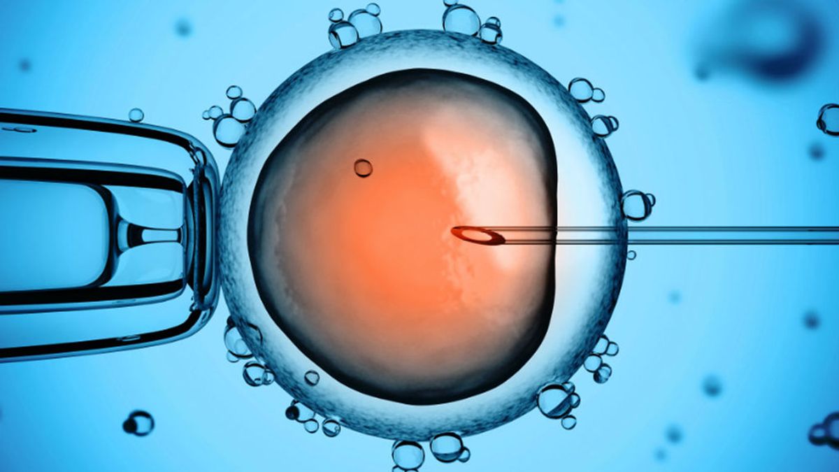 Investigan una técnica de "semiclonación" reproductiva que "acabaría con la infertilidad"