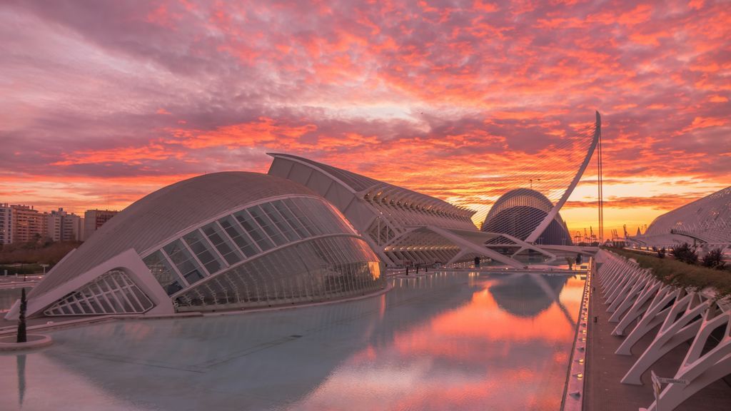 Alejandro Muñoz en Valencia