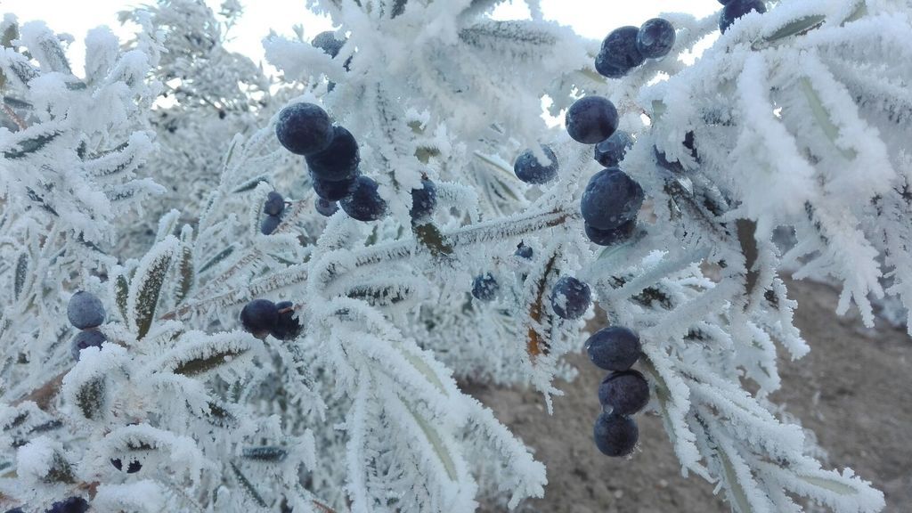 Conchi Sanz Aranda en Medina del Campo