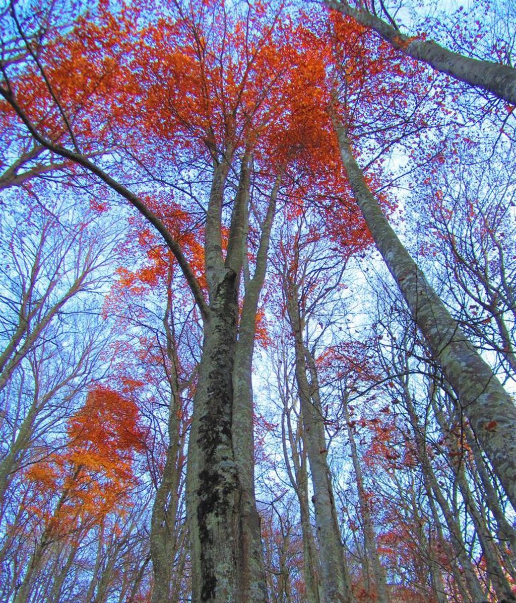 Rosel Santamaria en La Rioja