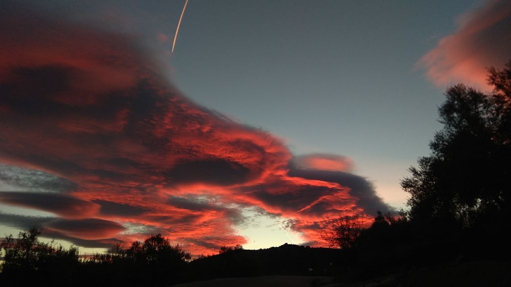 Carolina Ruiz Moreno en Málaga