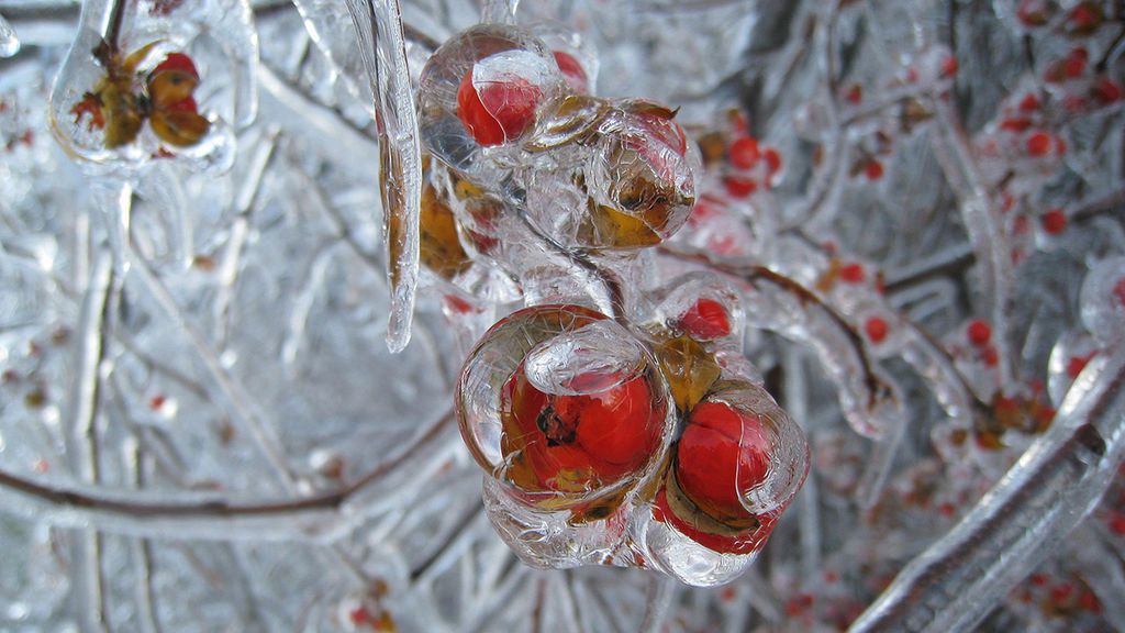 2008_ice_storm_1280x800