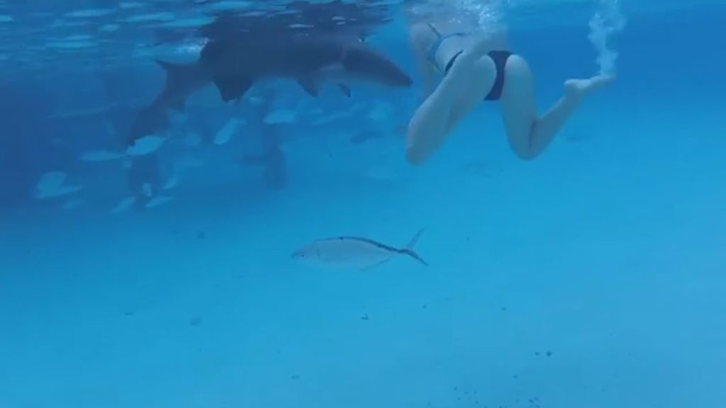 Graba el momento en el que su mujer es atacada por un tiburón