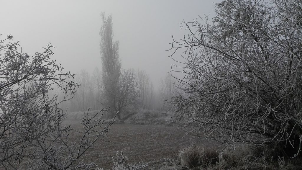 Ana María Herrero Rodríguez en Cantalpino, Salamanca