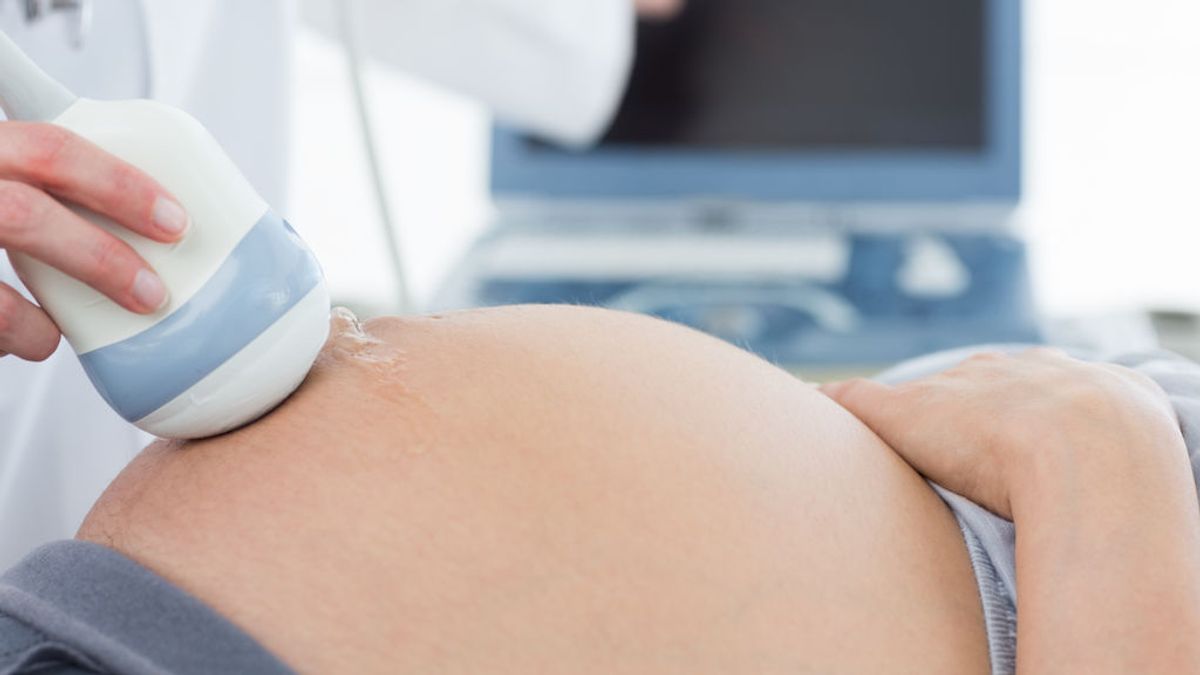 Científicos estadounidenses advierten del peligro de las señales wifi para las embarazadas