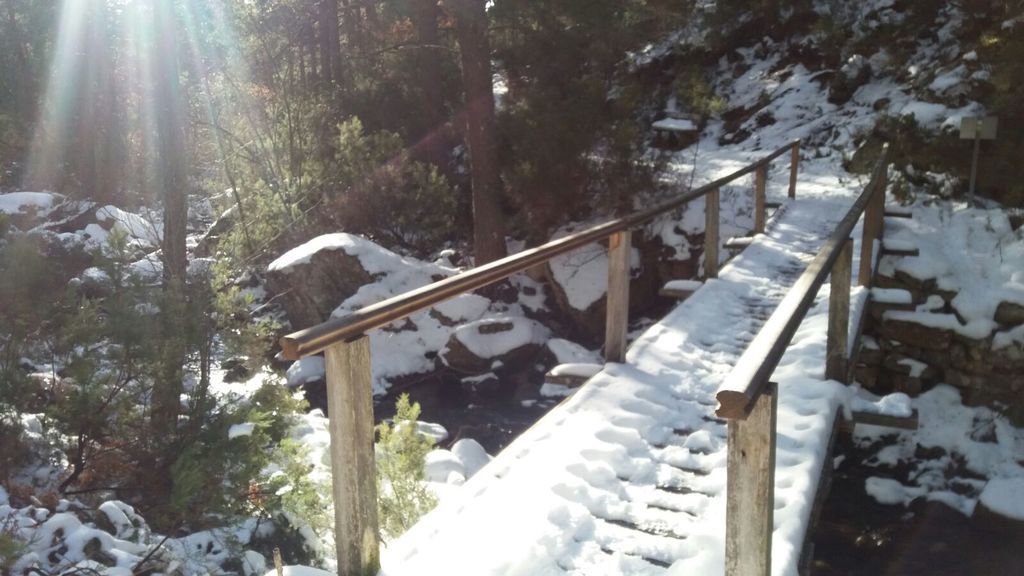 Patricia Román Rubio en Soria