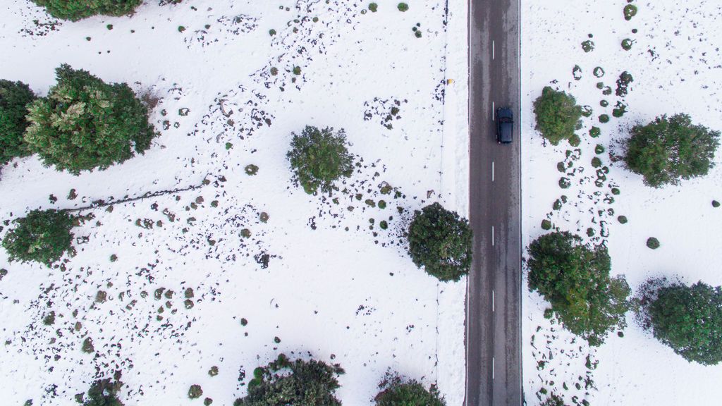 Albert Ramón Francia en Palma de Mallorca