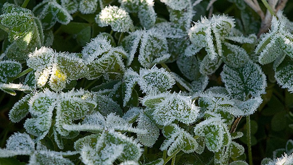 las formas del hielo