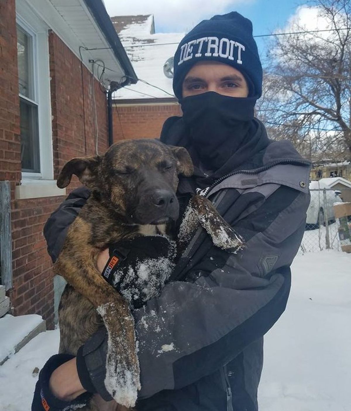 Rescatan a un perro a punto de morir a la intemperie durante una nevada