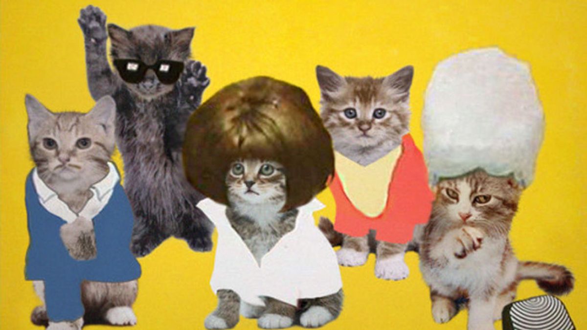 Era necesario que alguien recrease portadas de discos míticos con gatitos