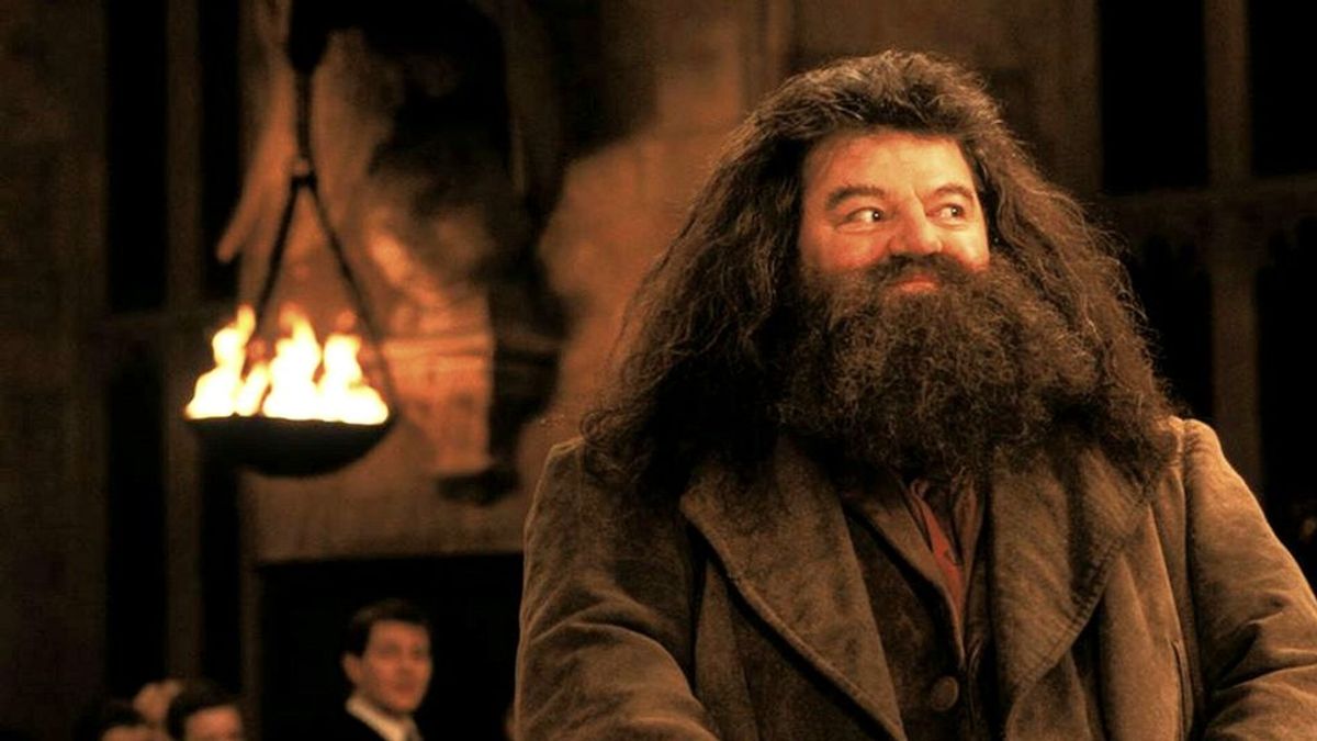 Cringe 👎 Los 10 peores personajes de la saga de Harry Potter