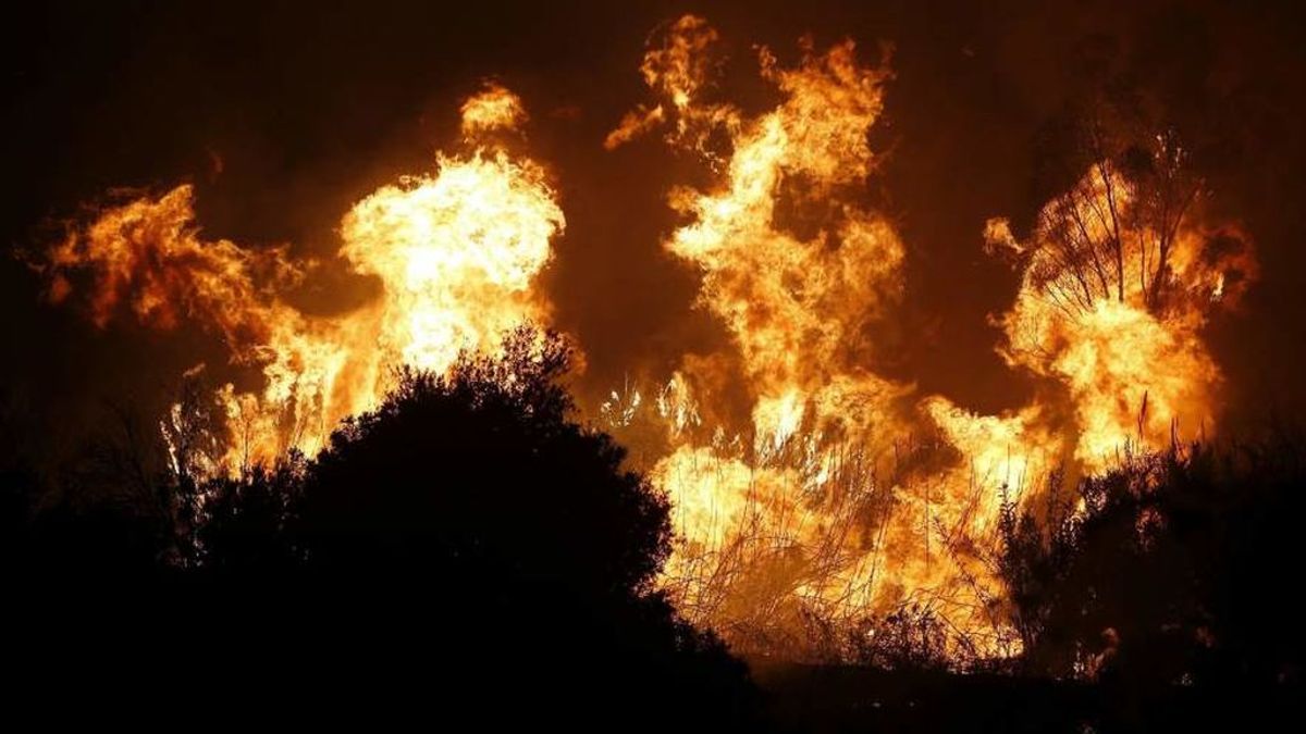 Hallado el cuerpo sin vida de una persona tras sofocar un incendio de matorrales en Málaga