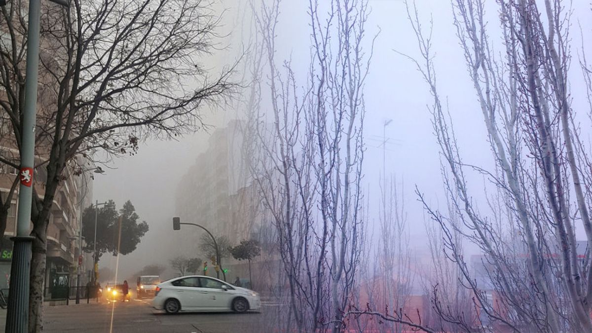 Las nieblas convierten a Zaragoza en 'Zaragothan'
