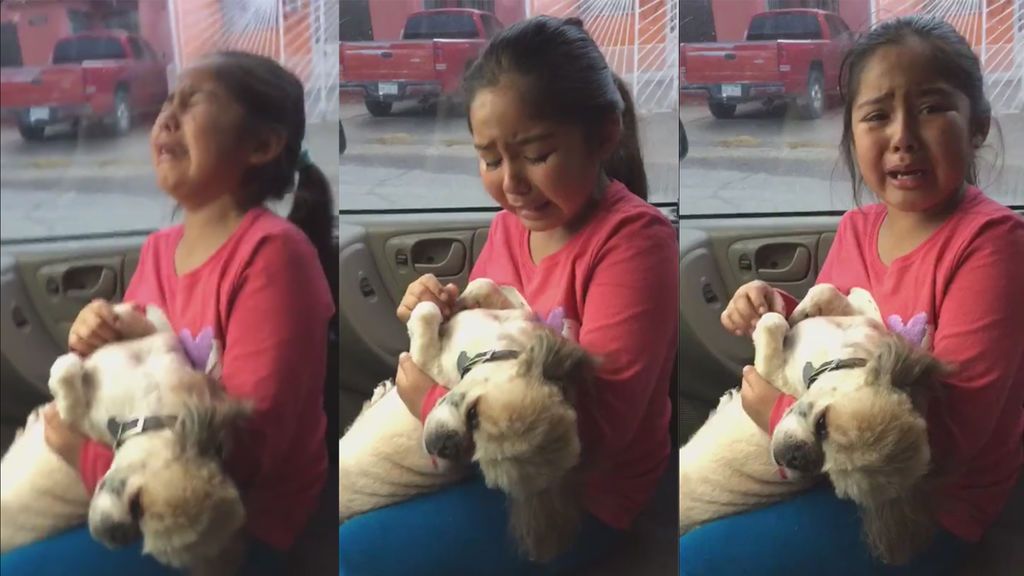 El llanto de una niña al ver el nuevo corte de pelo de su perro