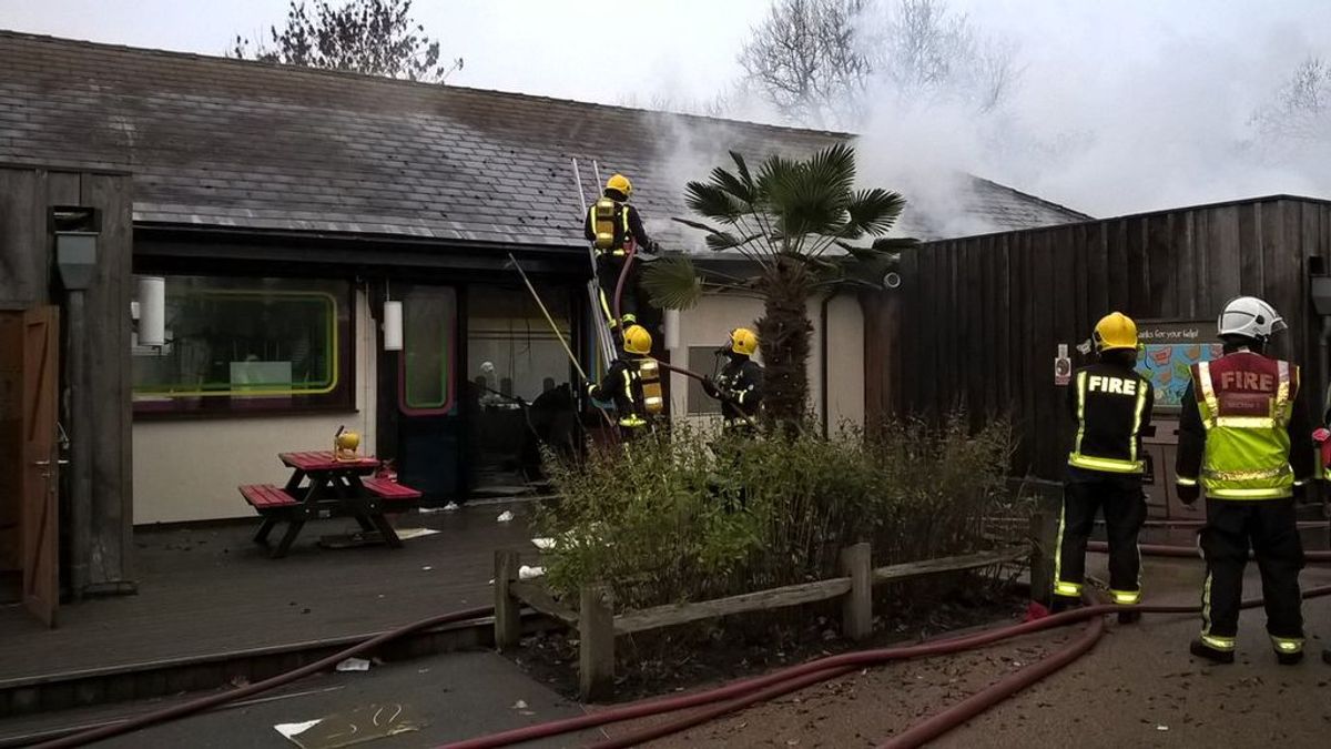 El Zoo de Londres permanecerá cerrado temporalmente por el incendio