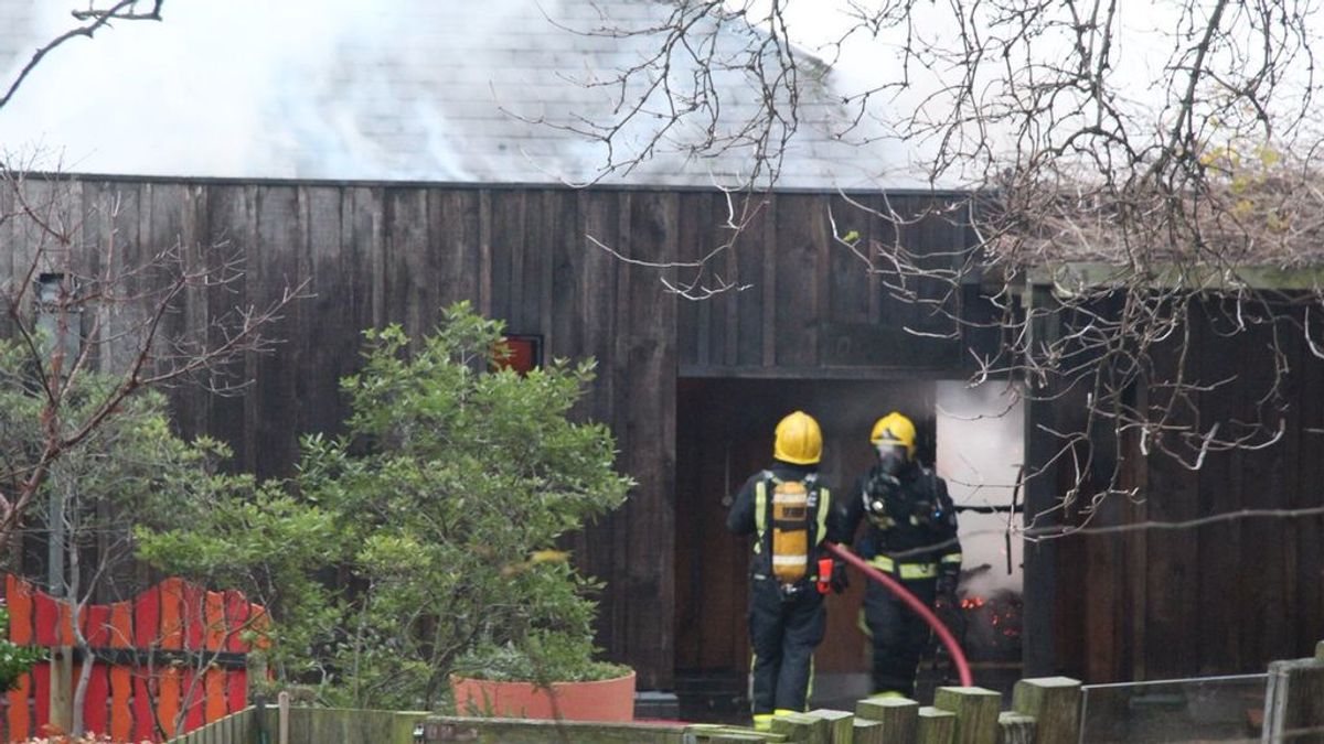 Más de 70 bomberos combaten un incendio declarado en el zoo de Londres