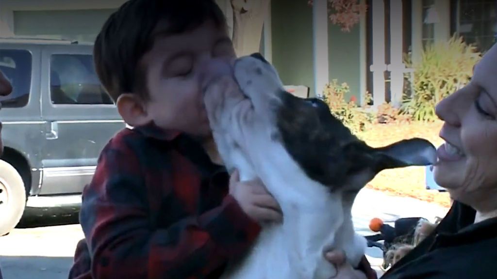 La amistad especial de Jason, un niño con parálisis cerebral y su perro Luca
