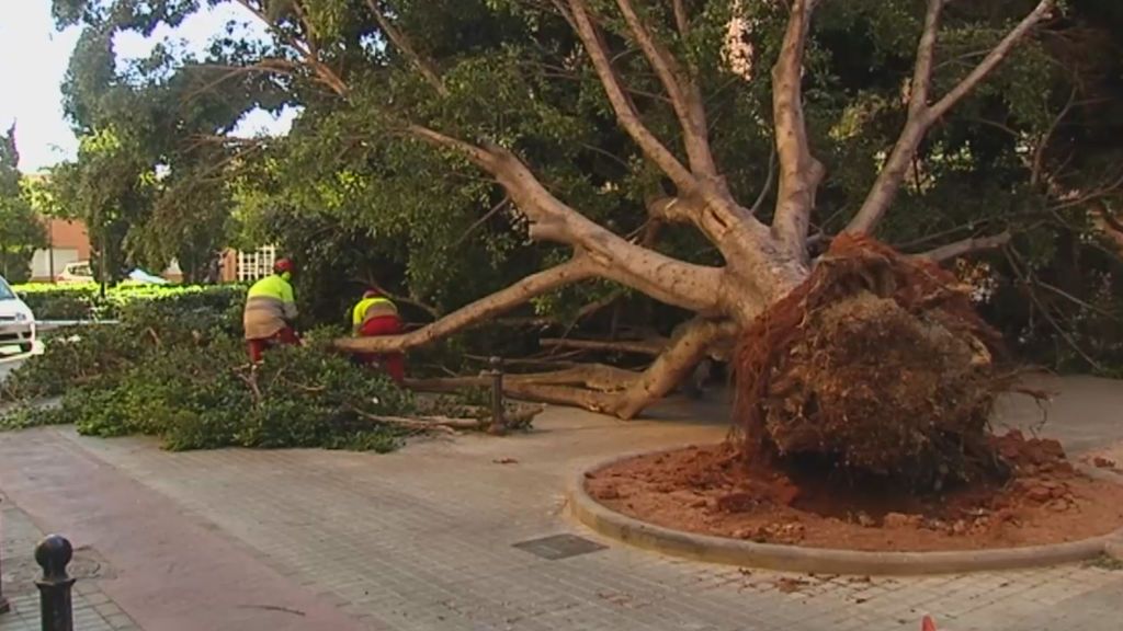 Las fuertes rachas de viento se cobran la vida de un hombre en Tarragona