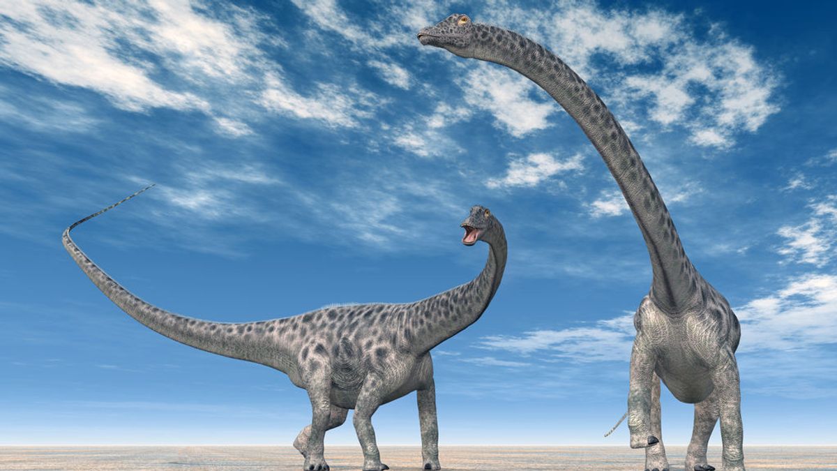 Albañiles chinos hallan 30 huevos de dinosaurio de hace 130 millones de años