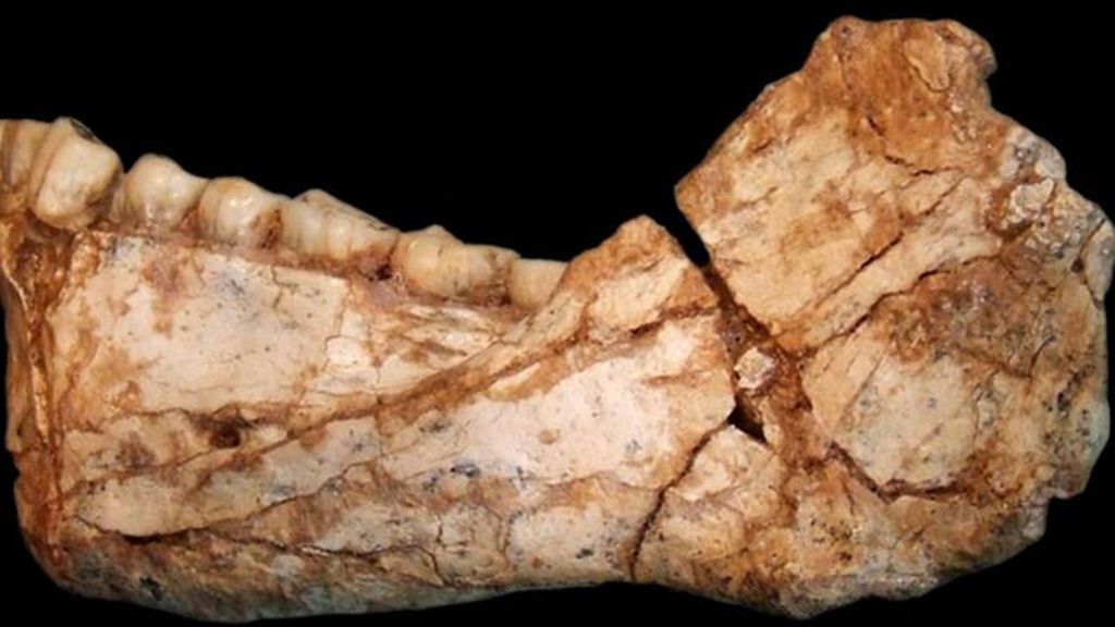 Los restos más antiguos de Homo Sapiens