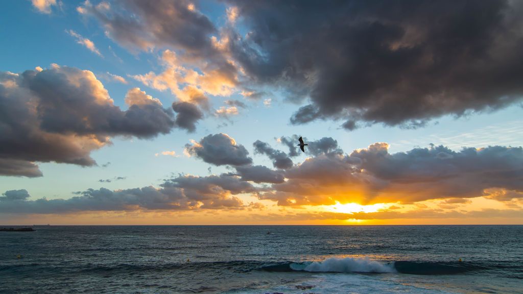 Antonio Rico Torres en Telde, Gran Canaria