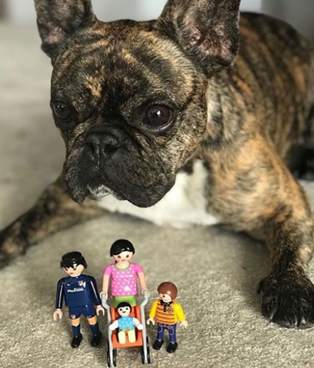 Malena Costa, Mario Suárez y su original versión 'toy'