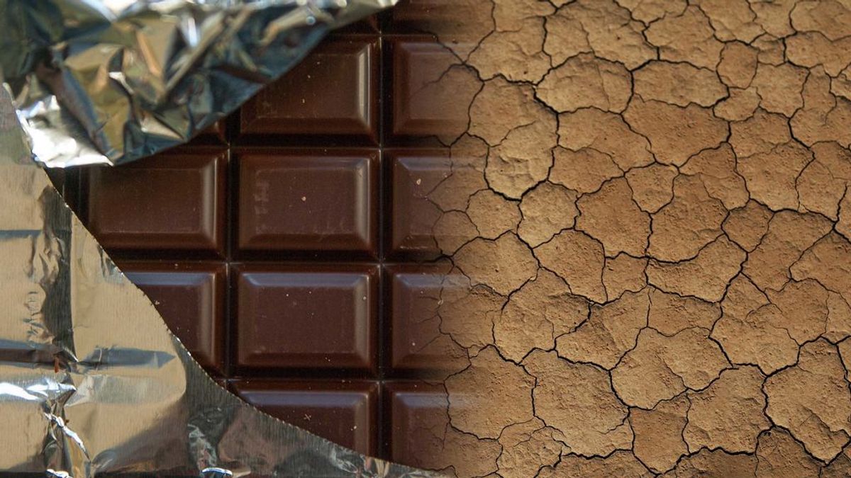 El chocolate desaparecerá en 40 años y la culpa es tuya
