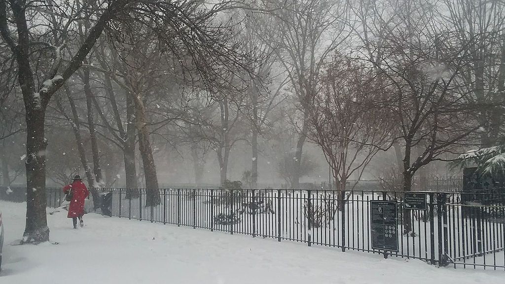 Alerta en Nueva York: la gran nevada en la Gran Manzana