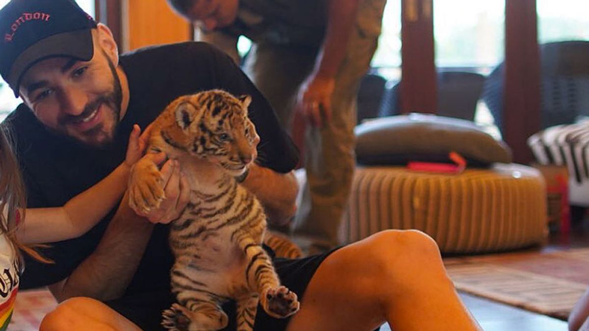 “Caretas fuera” La polémica de Benzema en redes por una foto con un bebé tigre