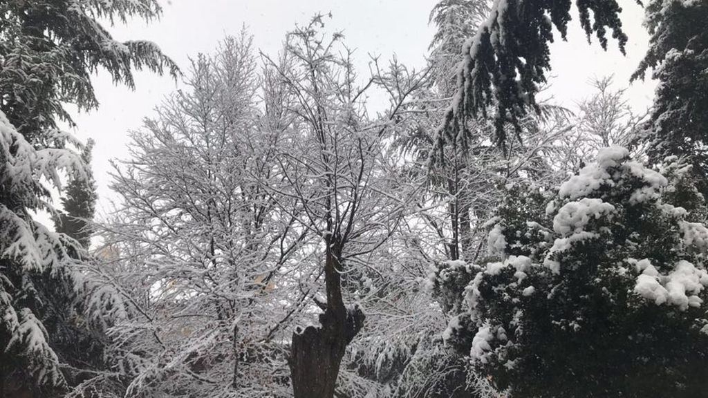 Marinaceli, en Soria, ha amanecido cubierta de nieve