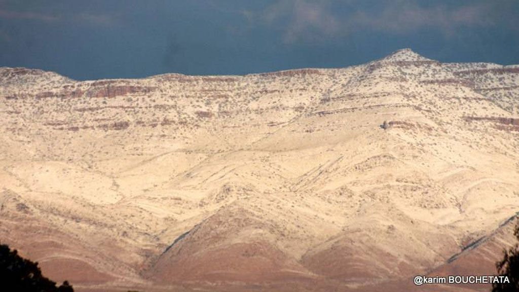 El fotógrafo Karim Bouchetata logró captar las increíbles imágenes