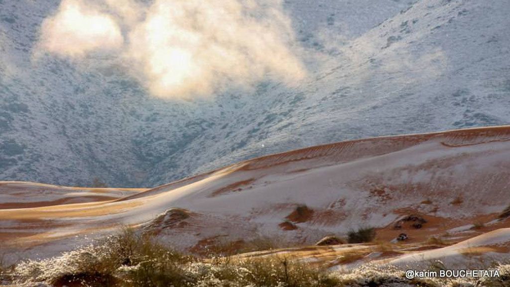Ocurrió en la pequeña ciudad de Ain Sefra, Argelia